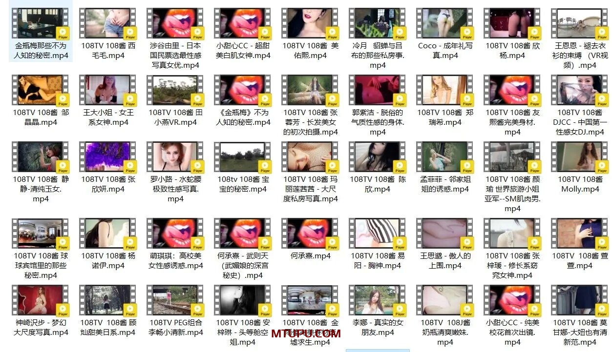 [合集]《108TV酱》视频作品144套120.89G-名站图库