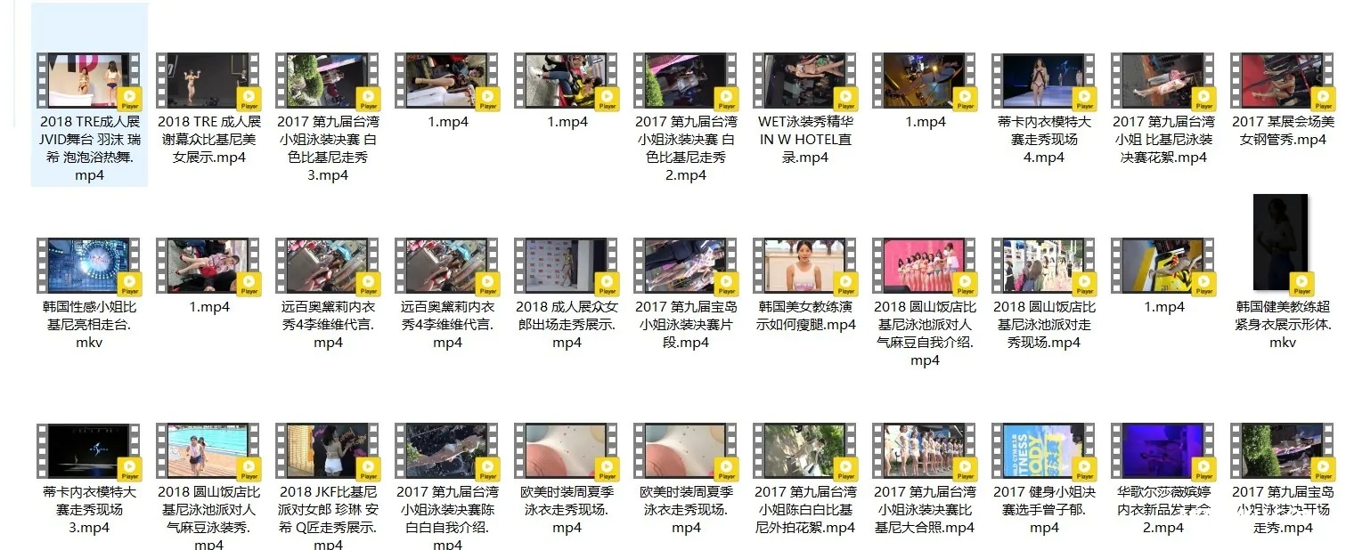 精选模特 明星（韩国女团/韩国车展车模/JKF比基尼派/钢管秀/成人展/内衣秀/时装秀/街拍视频）高清视频合集 共117套写真写真视频[33.60G]-名站图库