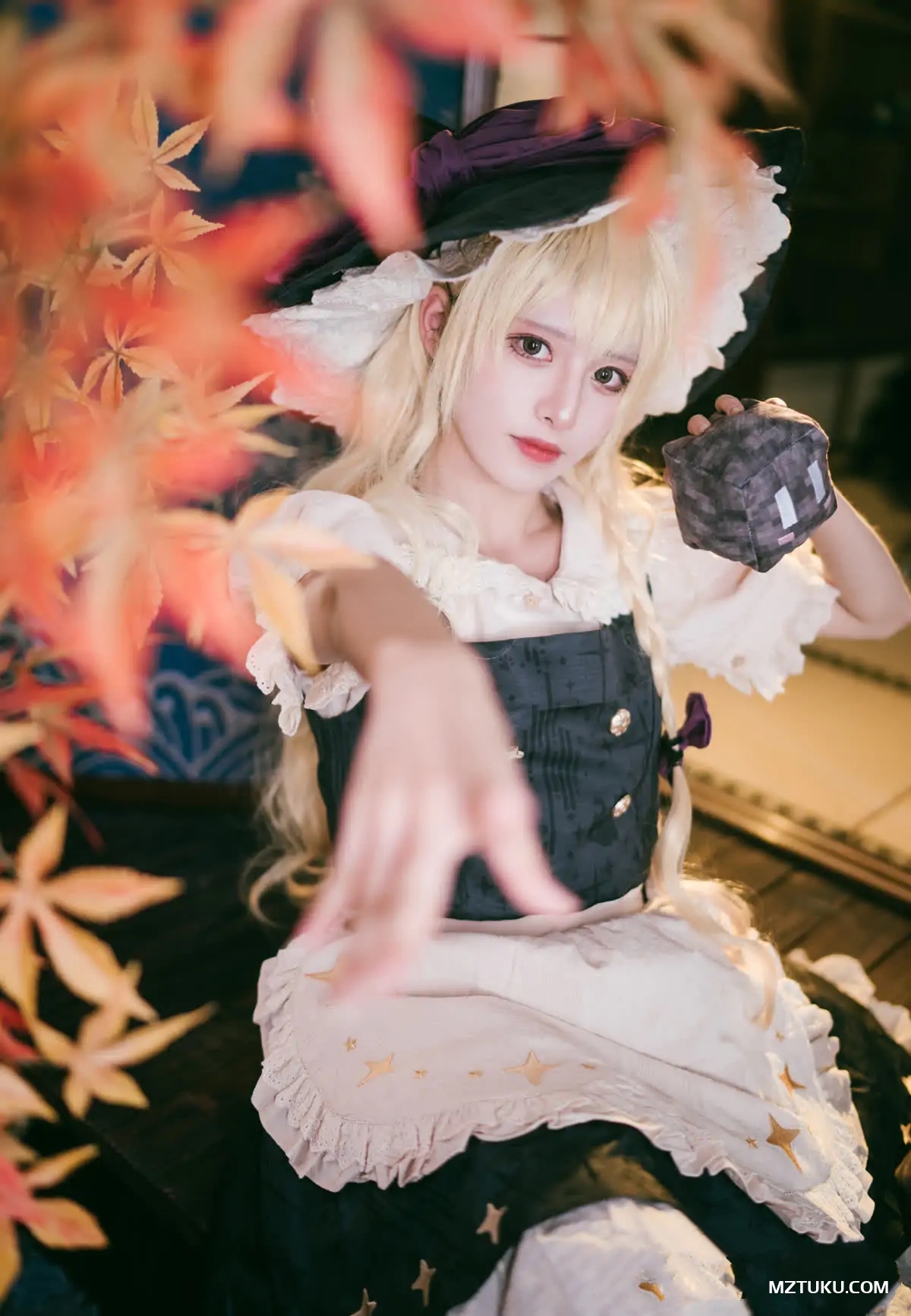 图片[1]-腥味猫罐 – 全套13期[1.6G-2025.11]-名站图库